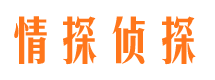 西市市侦探公司